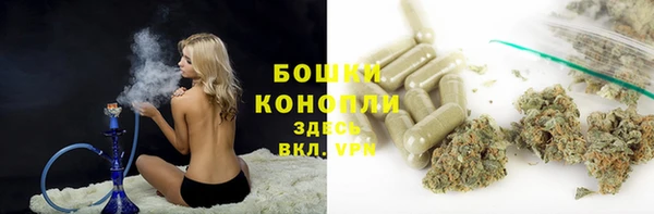 дживик Нефтегорск