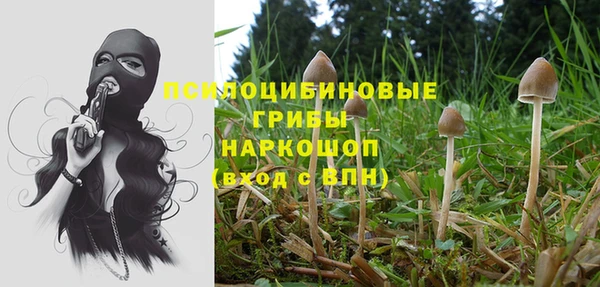 дживик Нефтегорск