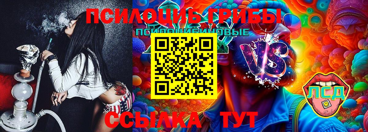 Галлюциногенные грибы мицелий Вологда