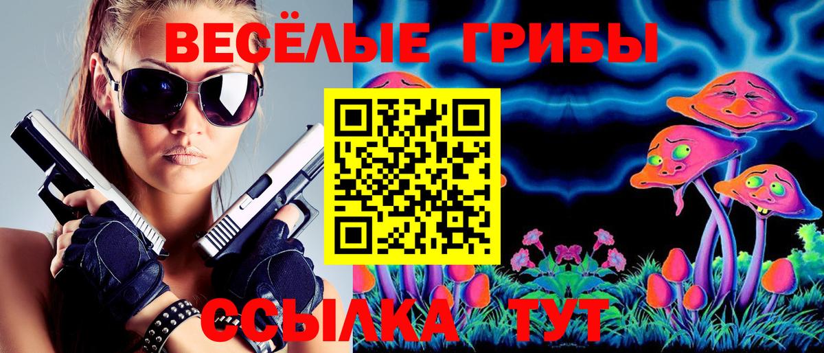 Вологда  Галлюциногенные грибы Psilocybe  Вход с VPN 
