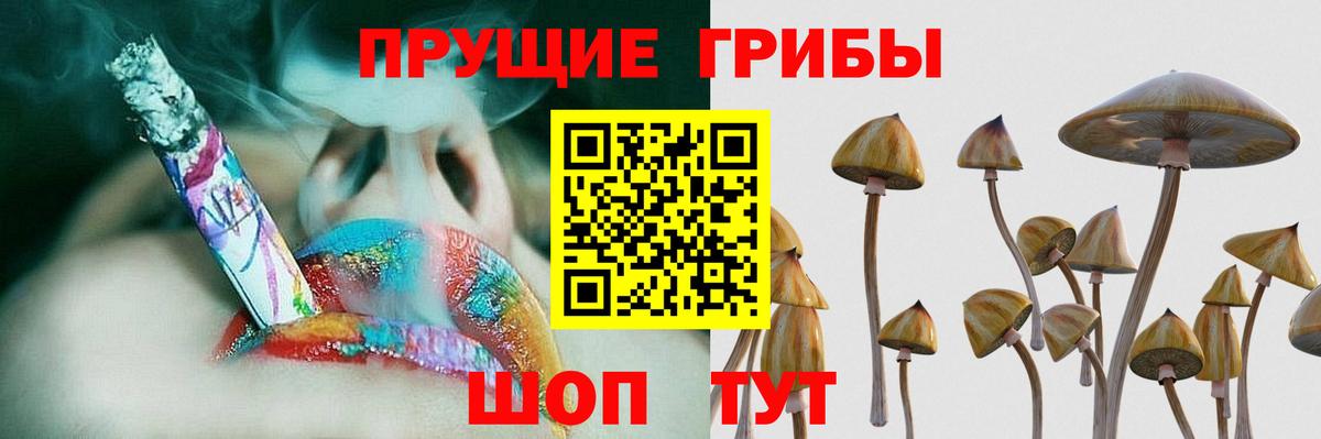 Галлюциногенные грибы GOLDEN TEACHER Вологда