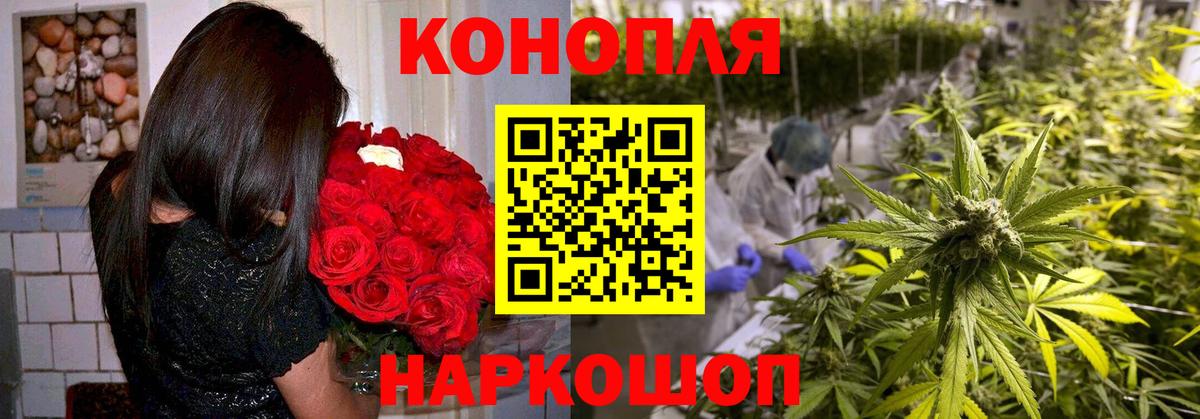 Шишки марихуана THC 21% Вологда